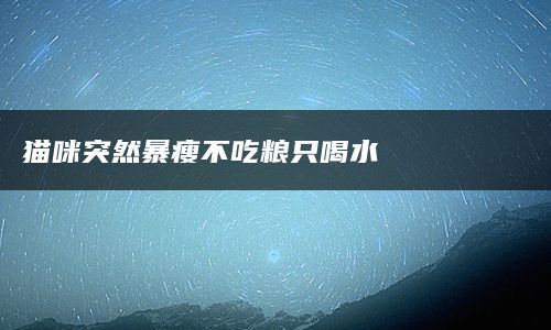 猫咪突然暴瘦不吃粮只喝水