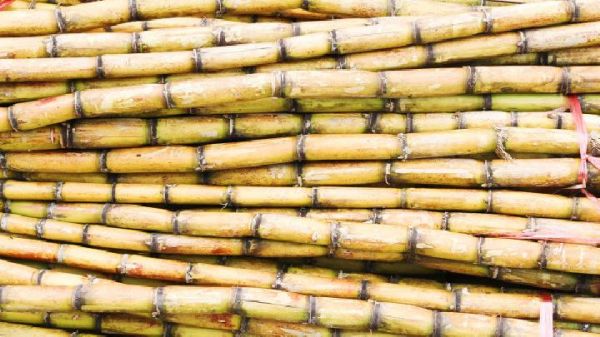 夏季女性可以做哪些減肥運動？夏季減肥運動方法推薦