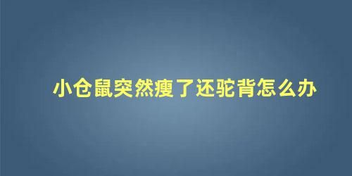 小倉鼠突然瘦了還駝背怎么辦