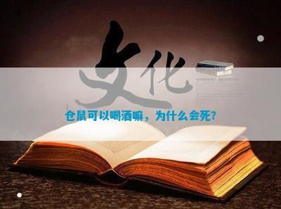 仓鼠可以喝酒嘛,为什么会死?