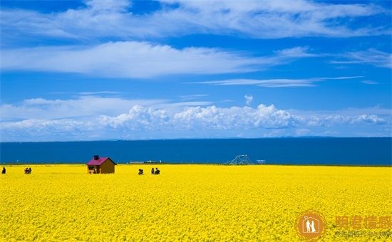 心理咨詢師教你如何擺脫失戀,這五種方法有效