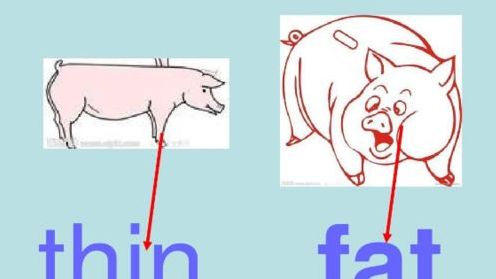 我想要瘦的英文 ,我要減肥英語(yǔ)怎么說(shuō)圖2