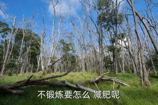 不鍛煉要怎么 減肥呢