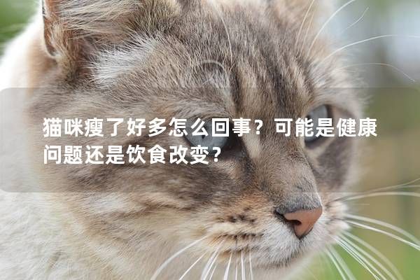 猫咪瘦了好多怎么回事？可能是健康问题还是饮食改变？