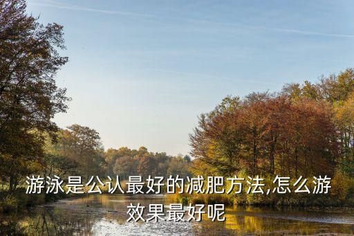  游泳是公認最好的減肥方法,怎么游效果最好呢