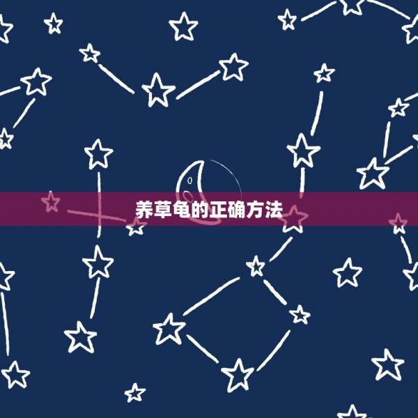 养草龟的正确方法，养龟的正确方法是什么？