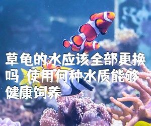 草龜?shù)乃畱?yīng)該全部更換嗎？使用何種水質(zhì)能夠健康飼養(yǎng)？