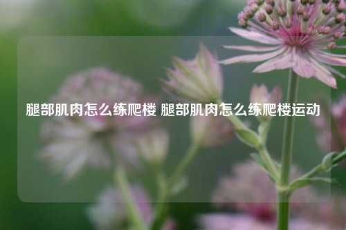 腿部肌肉怎么練爬樓 腿部肌肉怎么練爬樓運(yùn)動(dòng)