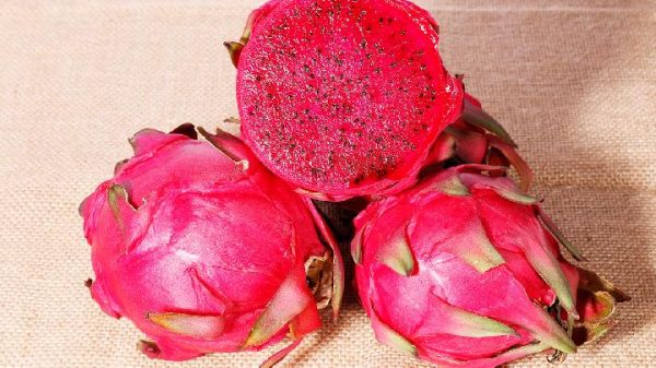 冬季如何減肥？推薦冬季減肥操簡單塑造完美體態(tài)