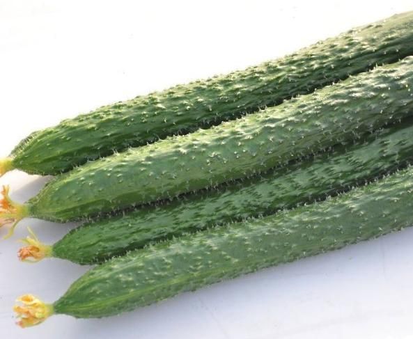 大姨媽走后，是女人減肥的黃金期，堅持盡量吃3物，刮油又瘦身！