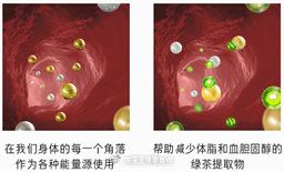 左：進(jìn)入體內(nèi)的膳食脂肪、膽固醇VS右：餐后攝取該產(chǎn)品