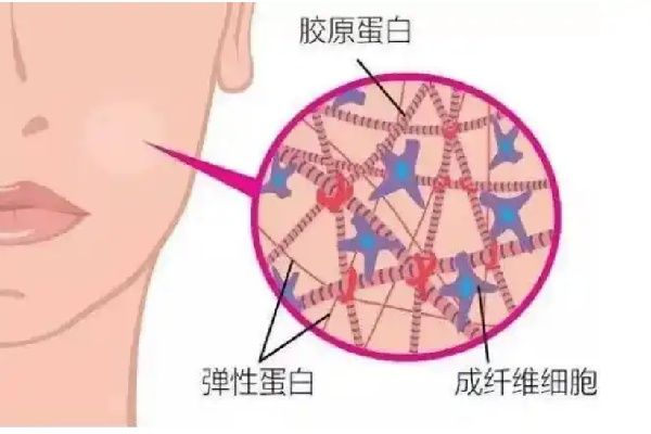 蔣錚錚醫(yī)生三個(gè)項(xiàng)目是精精耳/高顱頂/輪廓固定付