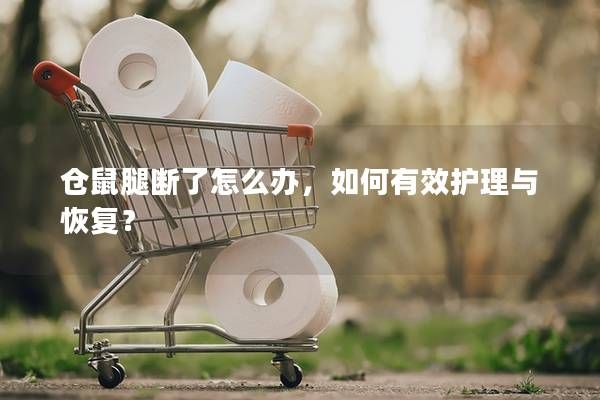 倉(cāng)鼠腿斷了怎么辦，如何有效護(hù)理與恢復(fù)？