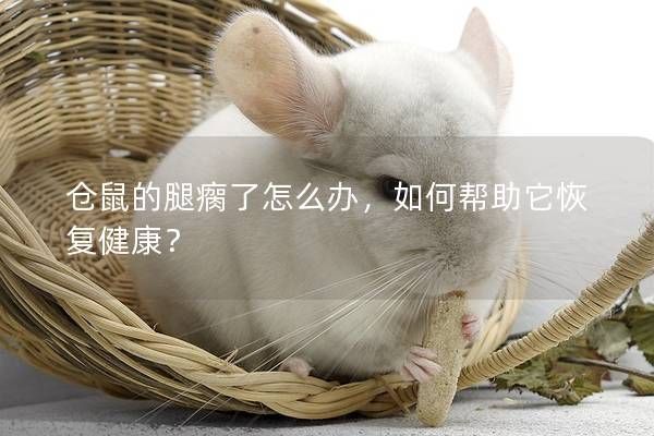 倉鼠的腿瘸了怎么辦，如何幫助它恢復(fù)健康？