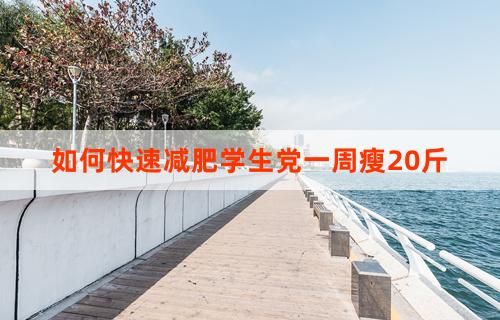 如何快速減肥學(xué)生黨一周瘦20斤