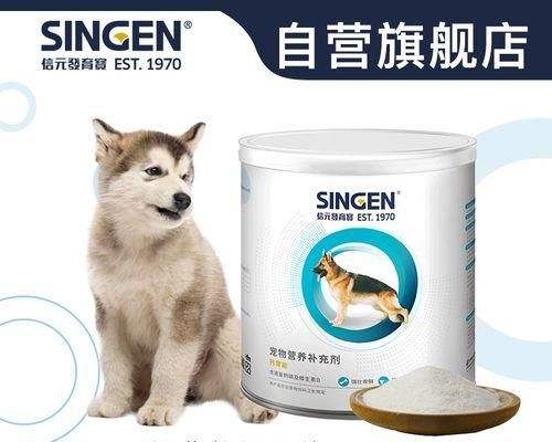 懷孕的貓咪如何補(bǔ)鈣（讓寵物健康受孕）