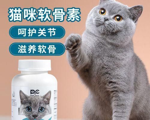 如何給寵物貓補足鈣質(zhì)（補鈣小常識）