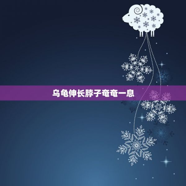 烏龜伸長(zhǎng)脖子奄奄一息，我的小烏龜快要死了，只是間斷地掙扎張嘴，請(qǐng)問(wèn)怎樣