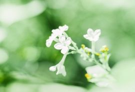 微信個(gè)性網(wǎng)名暴瘦暴富(帶有暴富的微信昵稱(chēng) 找一個(gè)好聽(tīng)的微信昵稱(chēng))