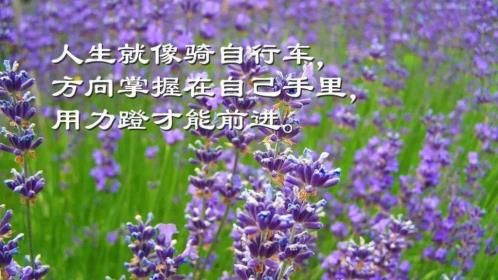 如何安慰失恋的女孩