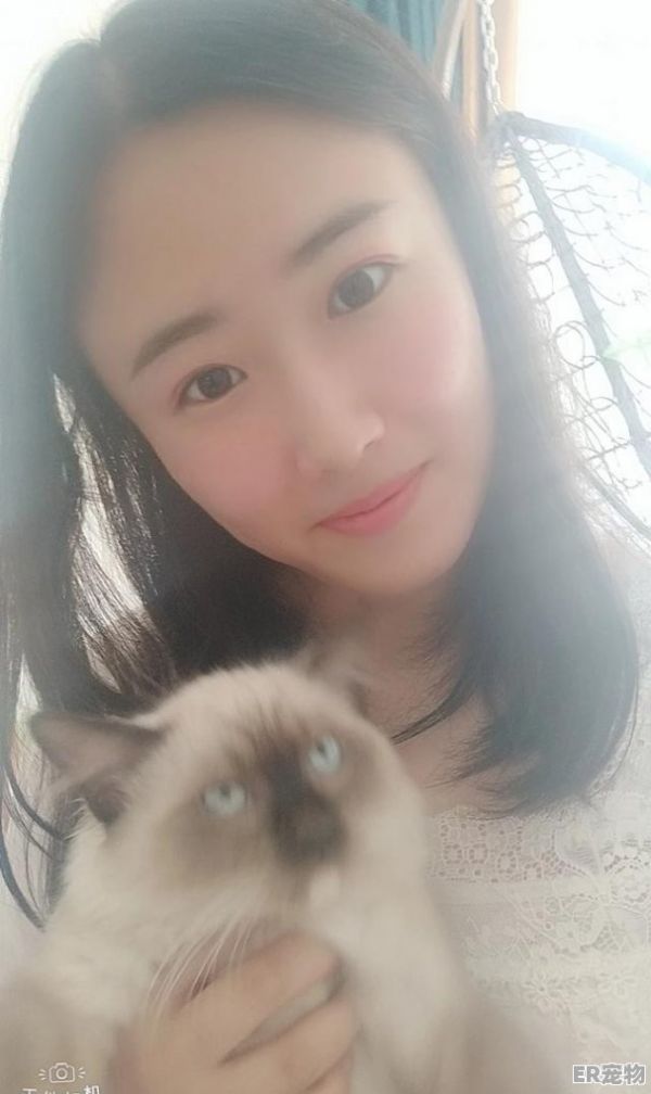怎么把貓養(yǎng)胖,寵物貓養(yǎng)肥