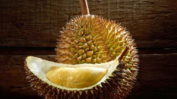 大基數(shù)怎么減肥？堅(jiān)持運(yùn)動(dòng)搭配控制飲食