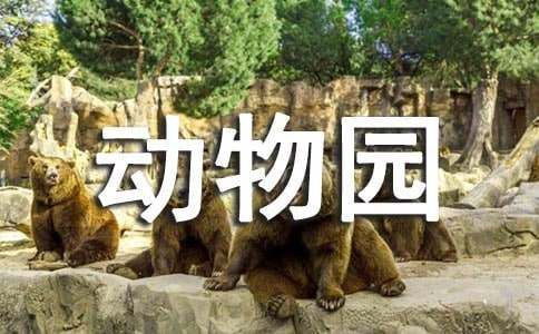 班里的小小動(dòng)物園作文（通用34篇）