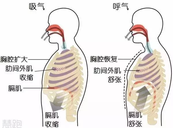 春雨医生