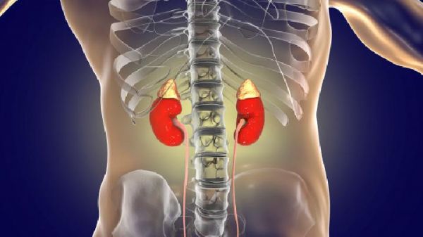 寶寶感冒期間家長該如何做家長小心感冒引發(fā)寶寶腎病綜合癥