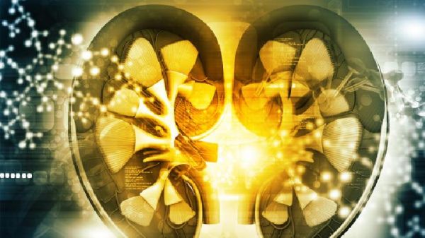 宝宝感冒期间家长该如何做家长小心感冒引发宝宝肾病综合症