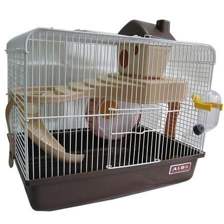 新手如何饲养仓鼠？