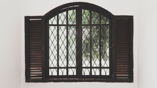 小仓鼠生活环境