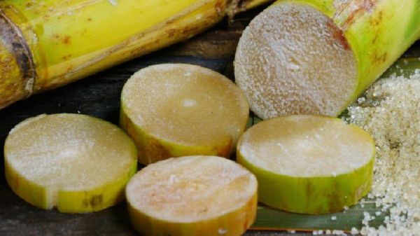 刨腹产后如何减肥?教你三种健康减肥方法