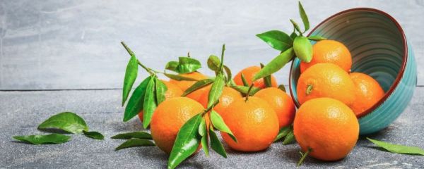 夏季如何去除體內(nèi)濕熱 去除體內(nèi)濕熱的方法 怎么去除體內(nèi)濕熱