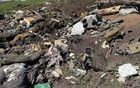 烏軍發(fā)現(xiàn)朝鮮士兵尸體上的驚人字條，內(nèi)容引發(fā)熱議！