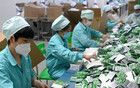 中國藥企又大獲全勝了，大批外資藥企退出中國