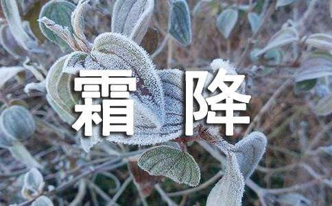 霜降養(yǎng)生祝福寄語30句精選