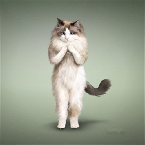 关于减肥 秀自己体重的幽默说说