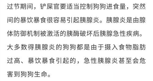 小狗貪吃怎么