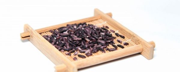 減肥期間吃什么主食好 吃什么水果減肥 喝什么能夠促進減肥