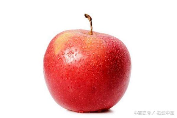 最快速有效的五種減肥法：最快三天就能瘦5斤，
