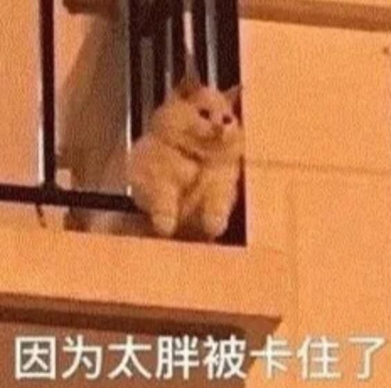 易胖體質(zhì)怎樣才能變成易瘦體質(zhì)？這樣調(diào)理最快