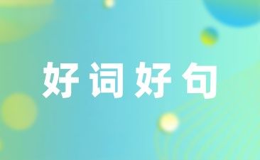 祝男朋友发财暴富挣钱养我的搞笑句子摘录(40条)