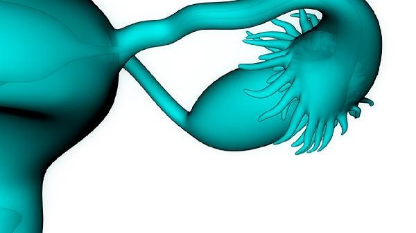 女性体重突然增加是什么原因