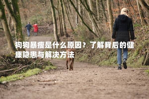 狗狗暴瘦是什么原因？了解背后的健康隱患與解決方法