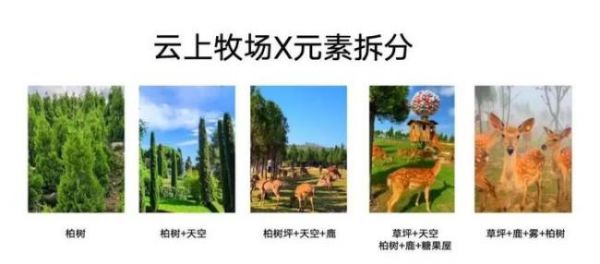 景區(qū)推手：把旅游景點拍成網(wǎng)紅，流量背后的秘密
