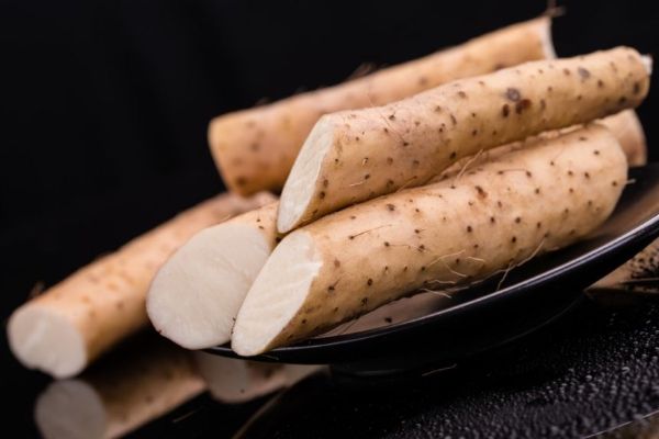 脾胃虛弱怎么調(diào)理最快 脾胃虛弱怎樣調(diào)理 脾胃虛弱如何調(diào)理