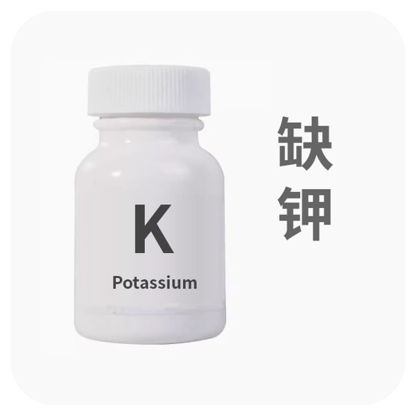 身体缺钾怎么补最快最有效