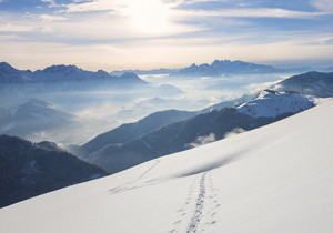 清晨打动人心的早安句子(通用20条)