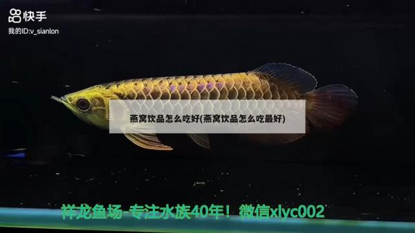 大家?guī)涂纯催@是什么虎？我傻傻分不清楚 水族用品 第4張